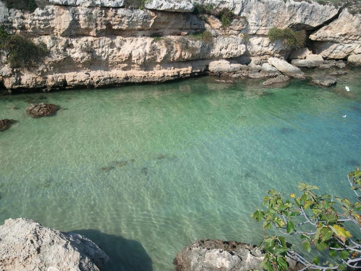 Terrazza Dolce Vista Apartment Monopoli Bagian luar foto